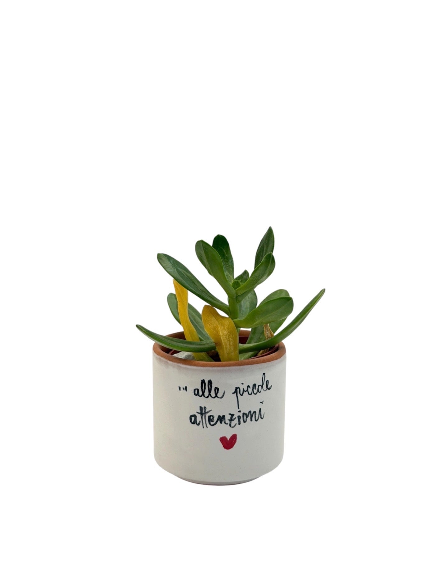 Vasetto Poetico in Ceramica con Frase – Idea Regalo Fatta a Mano