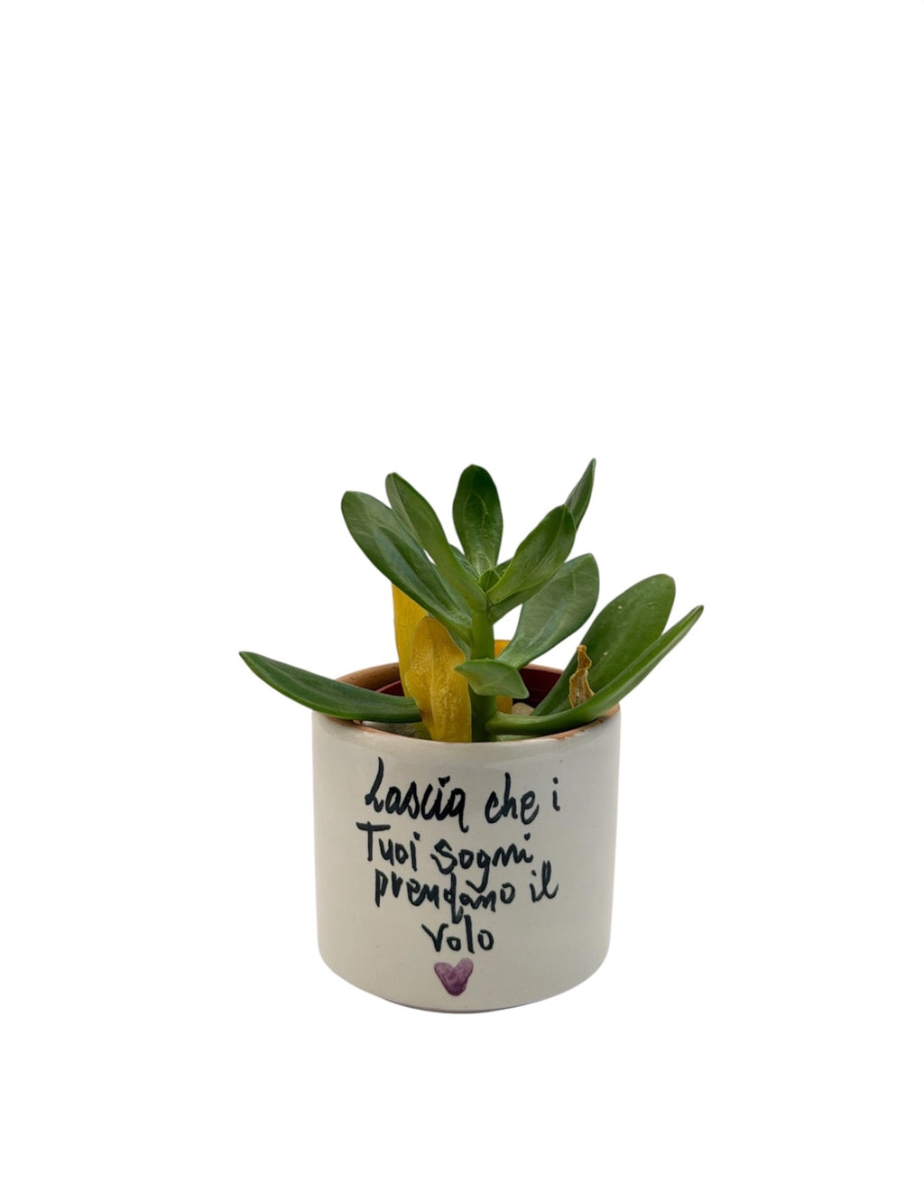 Vasetto Poetico in Ceramica con Frase – Idea Regalo Fatta a Mano