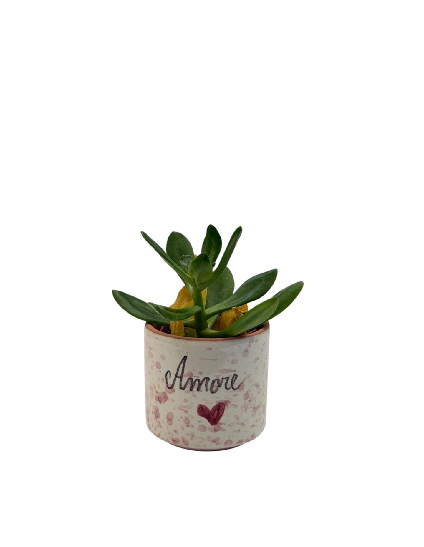 Vasetto Poetico in Ceramica con Frase – Idea Regalo Fatta a Mano