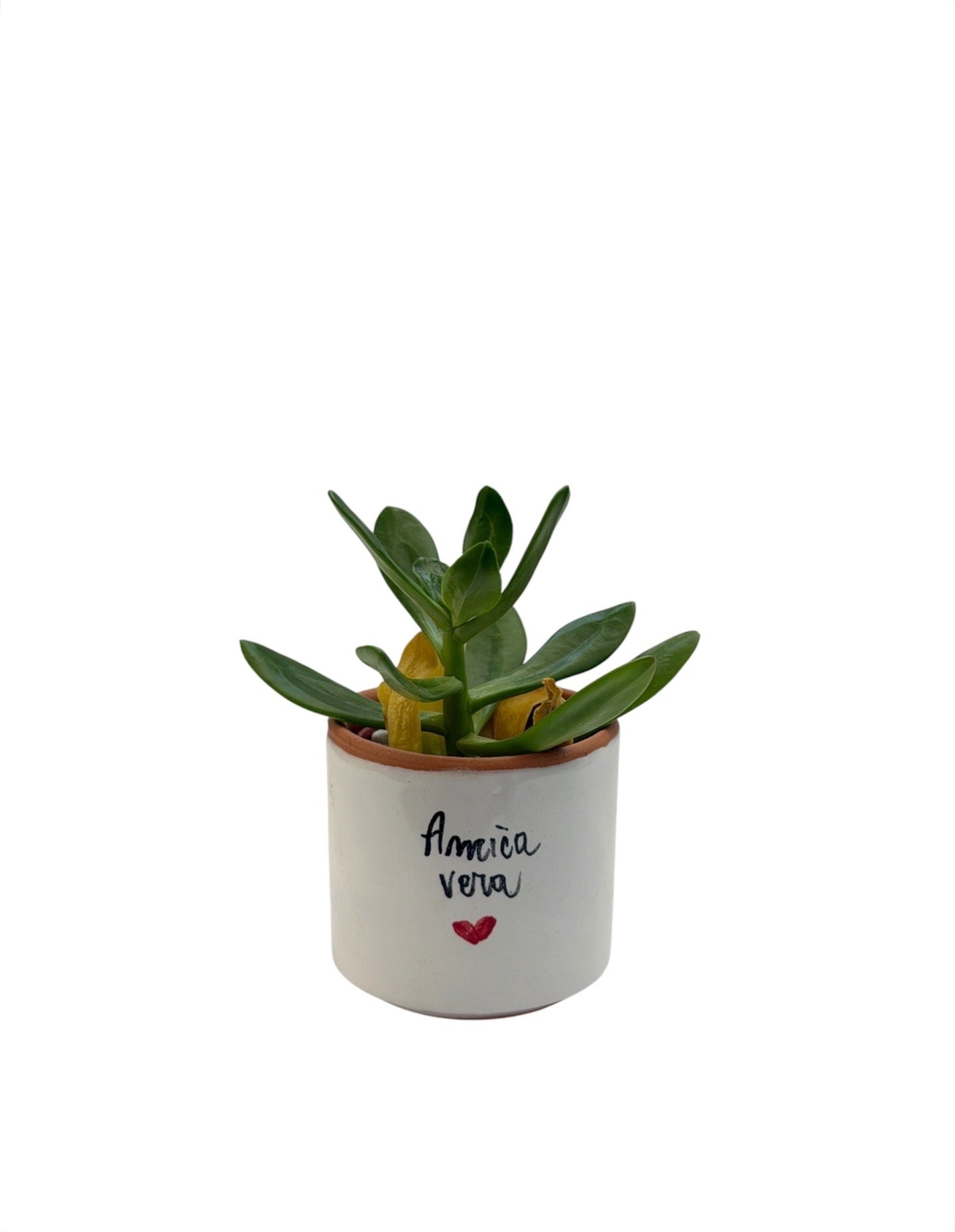 Vasetto Poetico in Ceramica con Frase – Idea Regalo Fatta a Mano